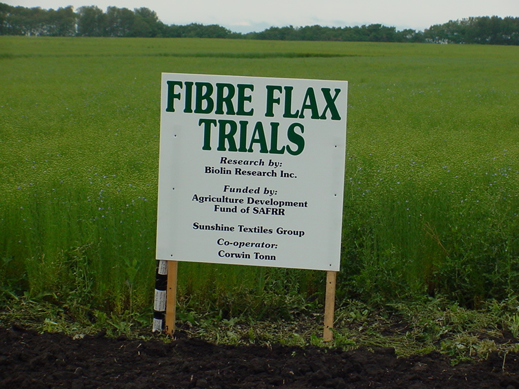fiber flax field trials